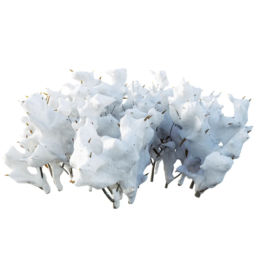 AV Plant Snow Pennsylvania Bayberry and Mexican Sage winter - Image 1