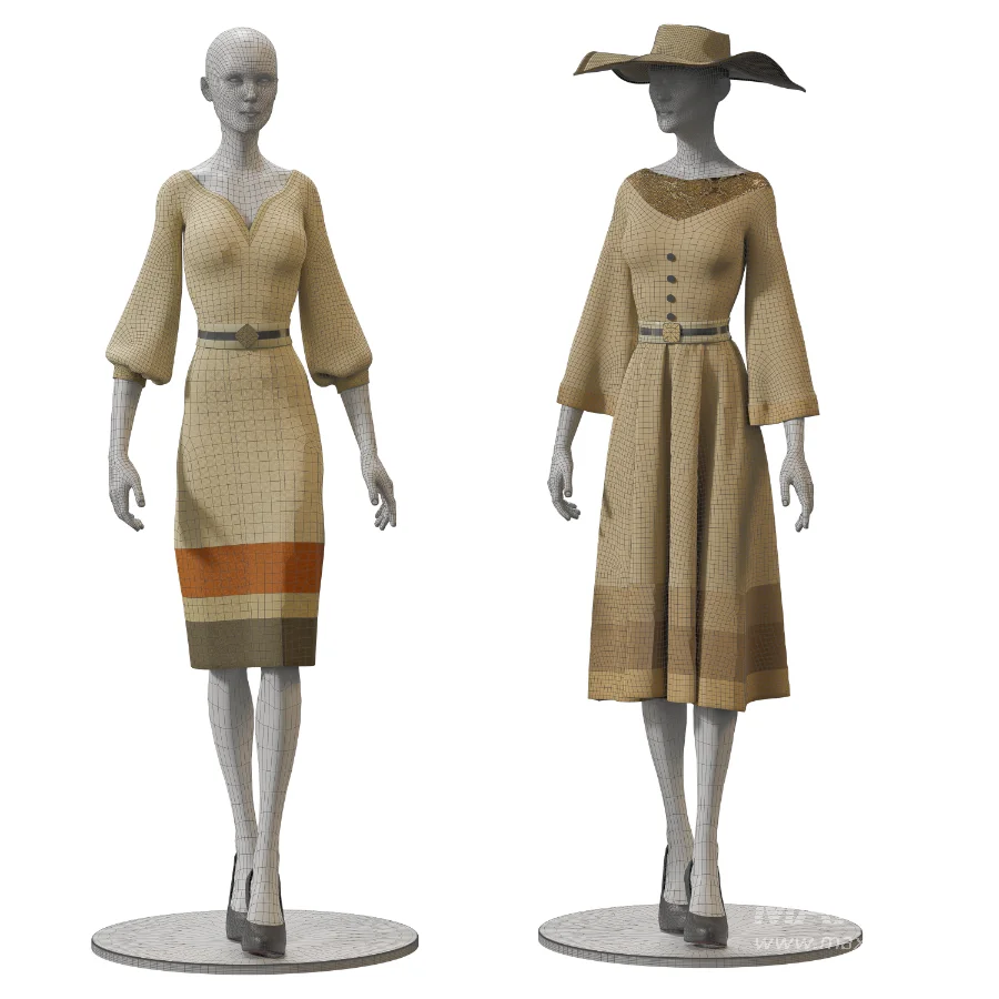 Showcase for Woman Clothing - Image 5