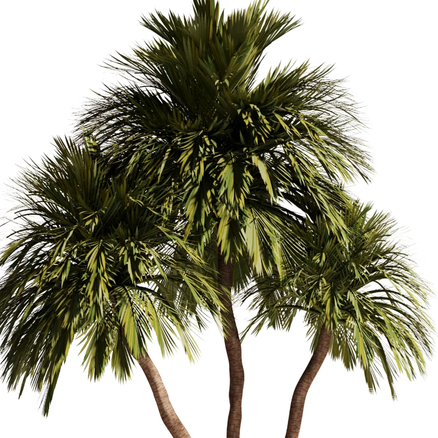 Tree Set48 - Image 5