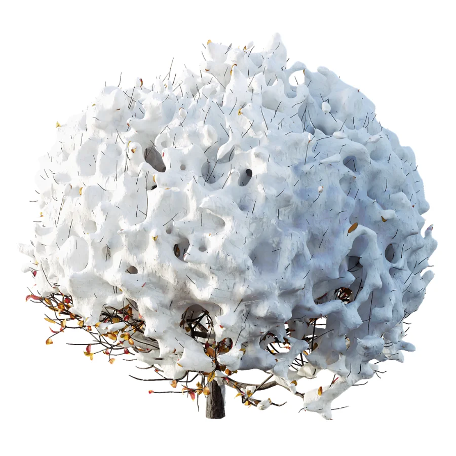 AV Winter Plant Snow Quihoui Privet and Snow Wild Erica Multiflora - Image 7