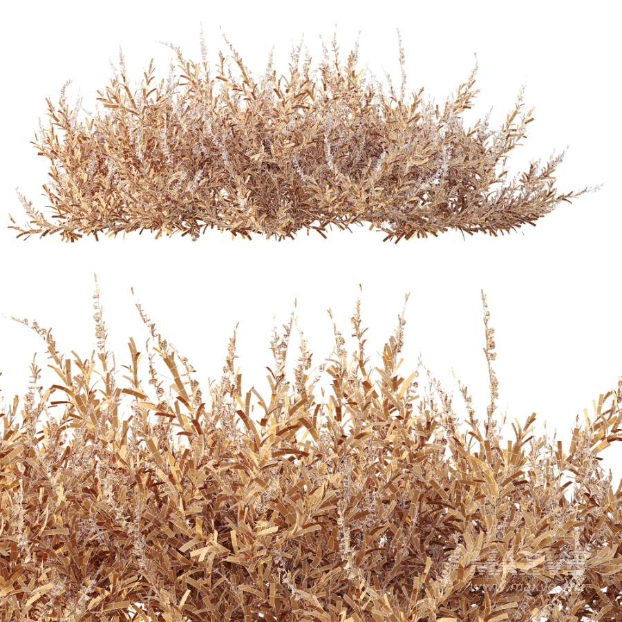 AV Plant Bush Purple Heather Calluna Vulgaris - Image 13