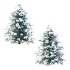Blue Spruce Winter Tree 03 - Thumbnail 1