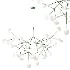 Heracleum III Suspended Suspension 02 - Thumbnail 6