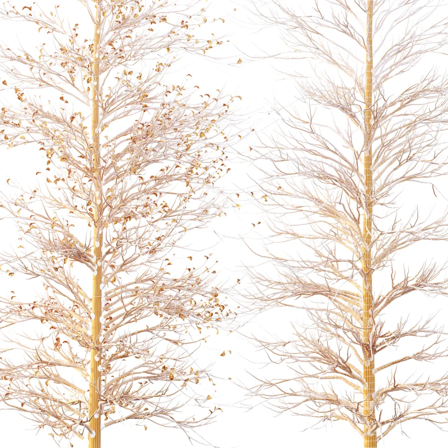 AV Autumn trees Real Tree Acer Buergerianum - Image 8