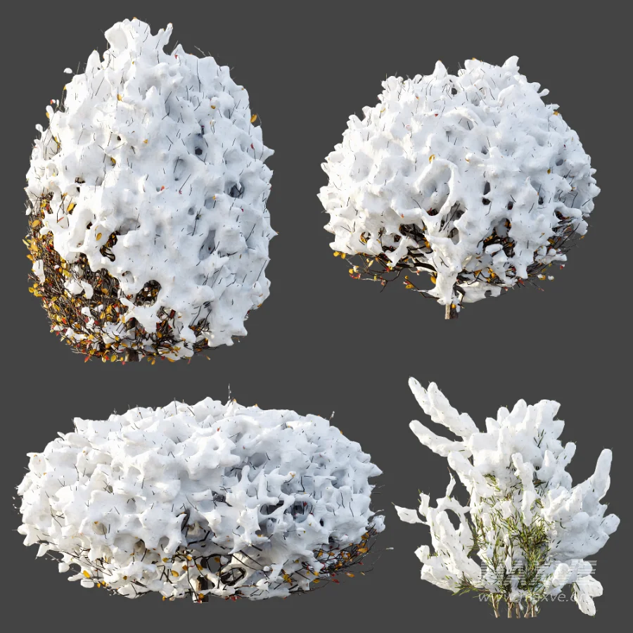AV Winter Plant Snow Quihoui Privet and Snow Wild Erica Multiflora - Image 9