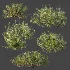 AV Winter plant Snow Wild Erica Multiflora and Snow Juniperus Sabina - Thumbnail 8