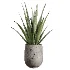 AV Indoor Plants Set 440 Eucalyptus Bouquet and Yucca and Olive and Orange Tree and Aloe Vera - Thumbnail 1