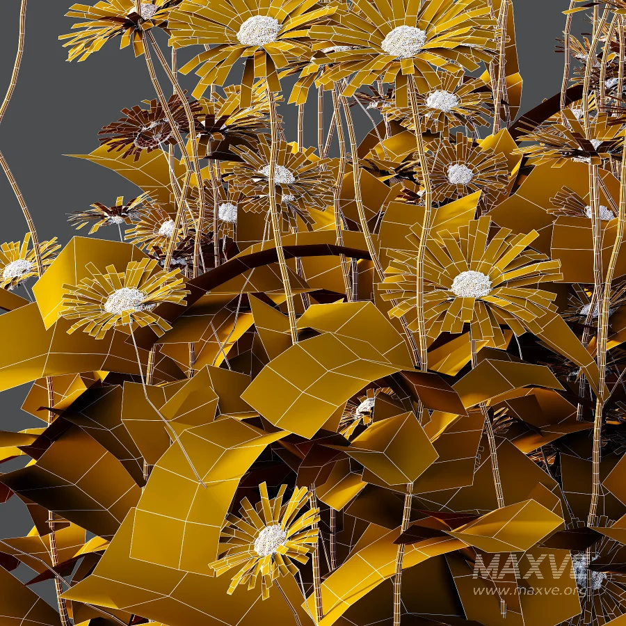 Common Daisy Flower Plant 02 - Image 3