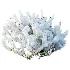 AV Winter plant Snow Wild Erica Multiflora and Snow Juniperus Sabina - Thumbnail 1