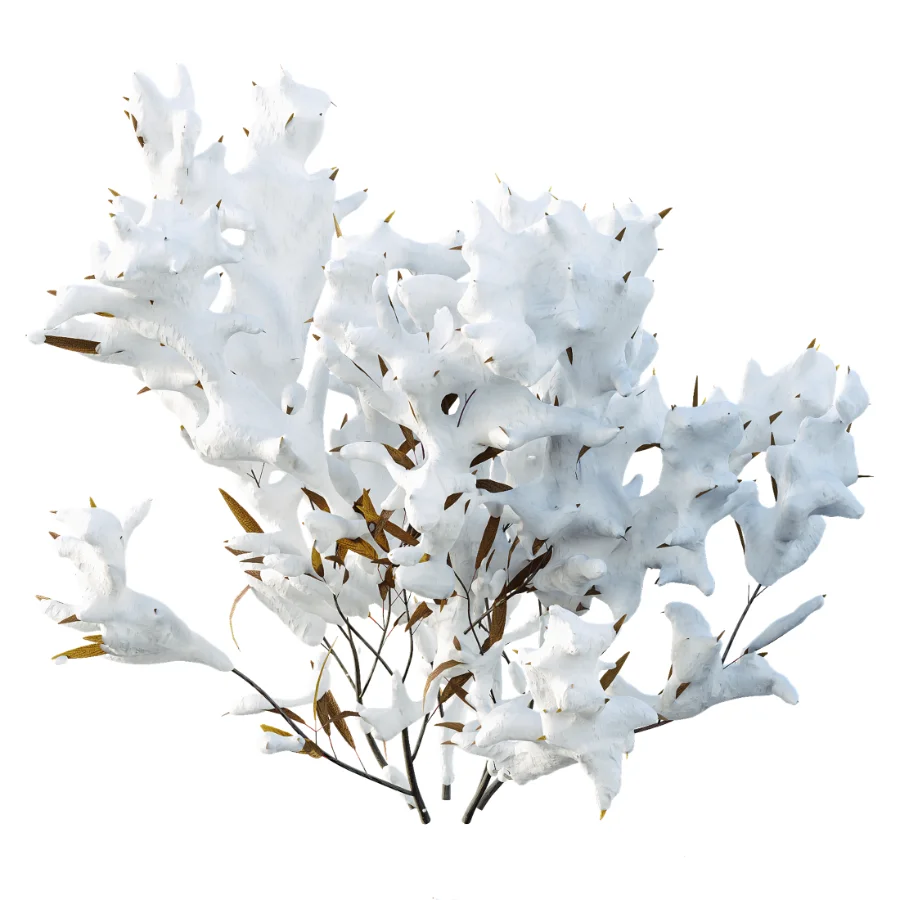 AV Plant Snow Pennsylvania Bayberry and Mexican Sage winter - Image 5