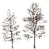 AV Dry winter trees - Thumbnail 3