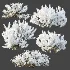 AV Winter plant Snow Wild Erica Multiflora and Snow Juniperus Sabina - Thumbnail 5