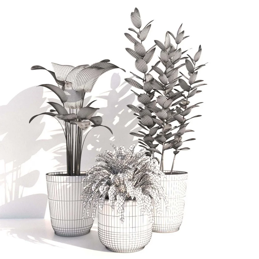 indoor plant_001 - Image 5