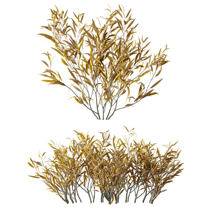 AV Plant Snow Pennsylvania Bayberry and Mexican Sage winter - Image 6