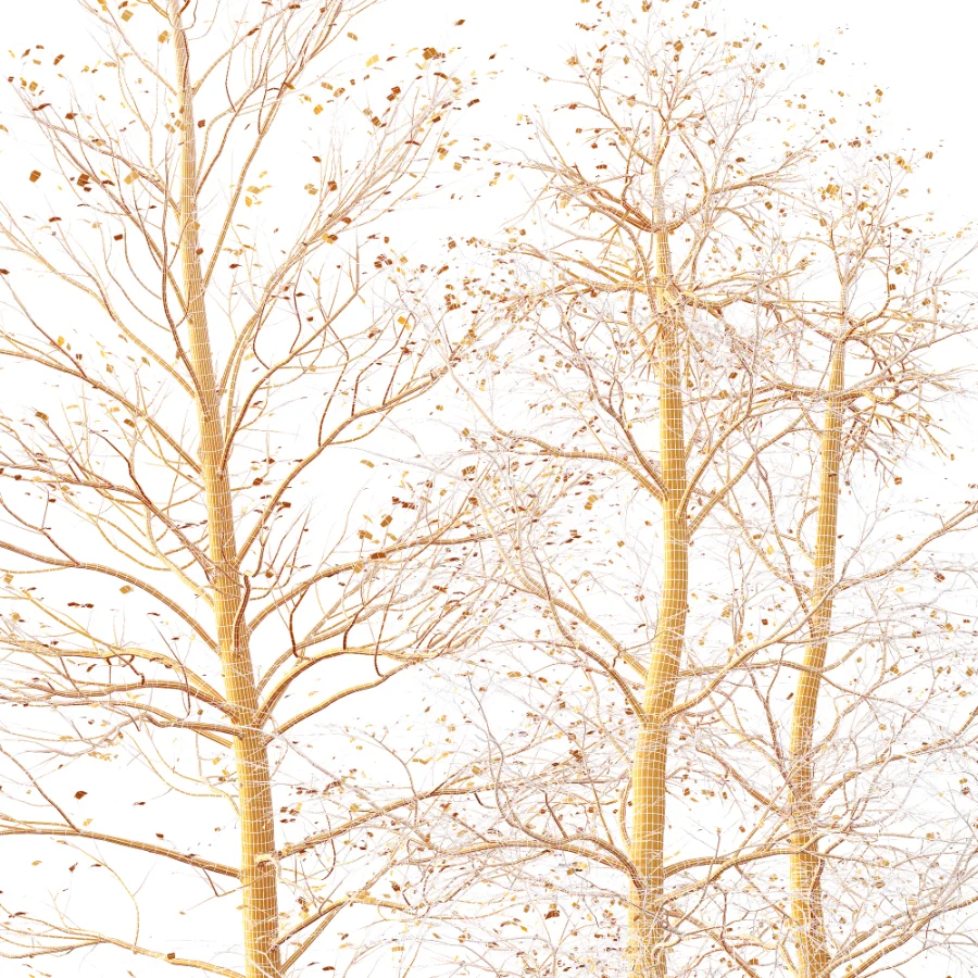 AV Dry winter trees - Image 5