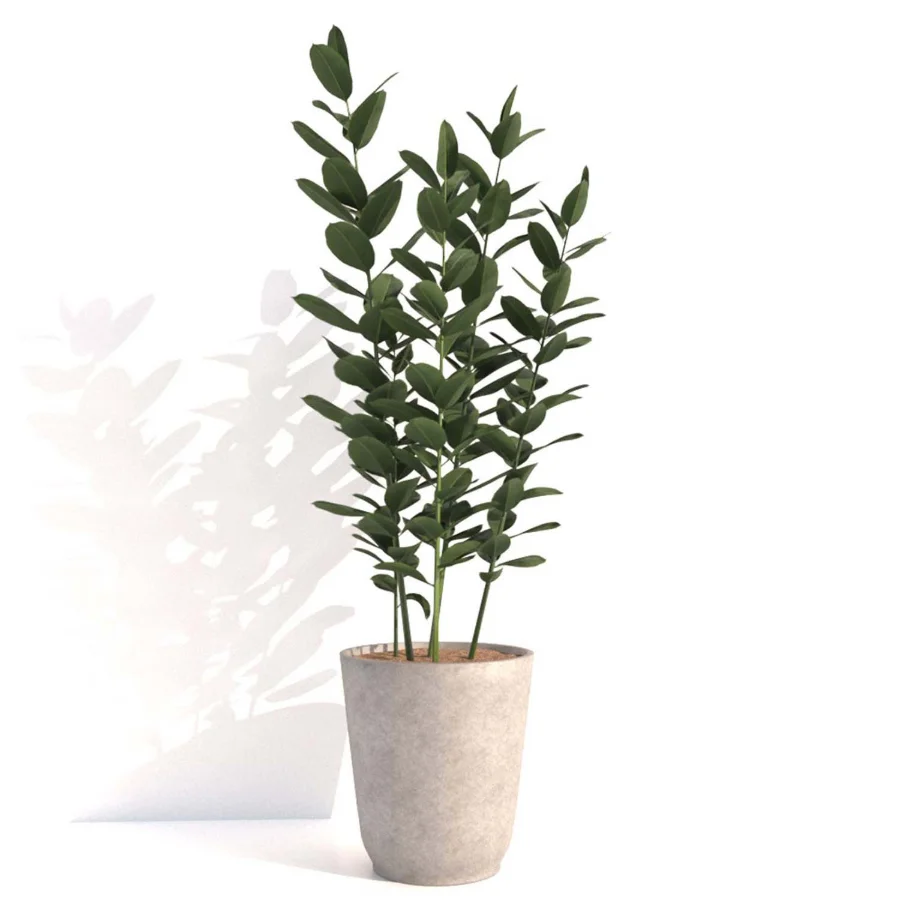 indoor plant_001 - Image 4