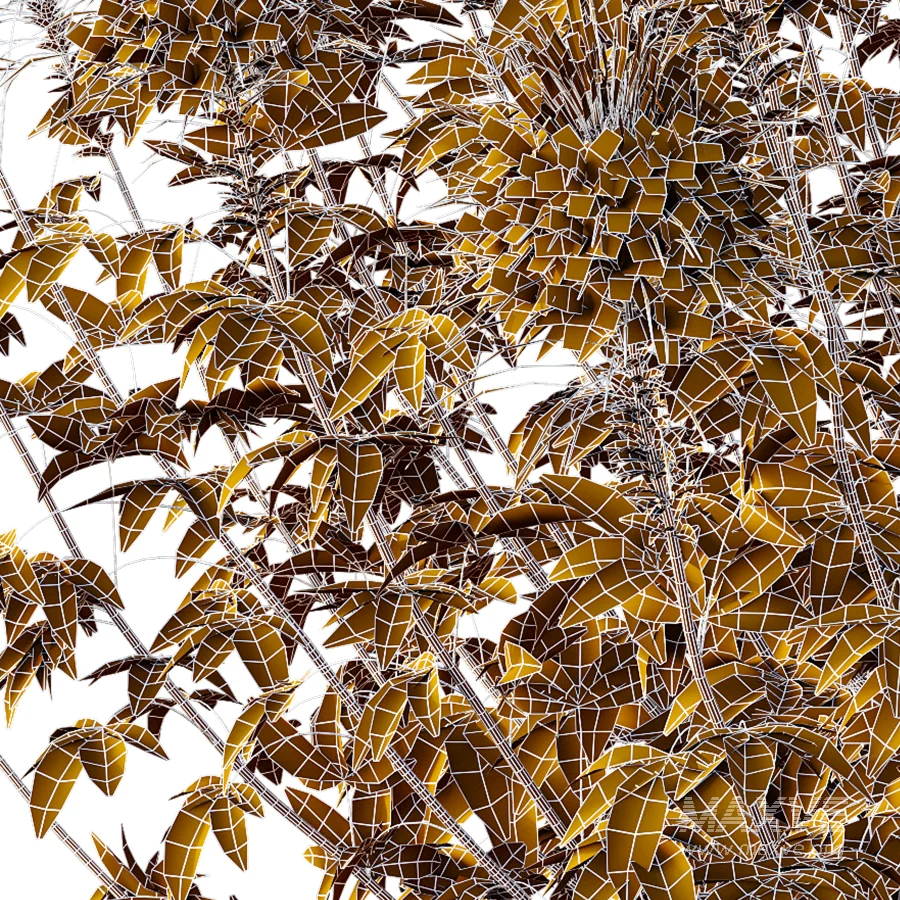 ntal annual, but is impressive for its long flowering period and impressive floral display. We reveal whether the spider flower is hardy and which location is optimal for successful planting.The spider flower belongs to the spider family (Cleomaceae) and comes from subtropical Central and South America. The taxonomy of the beautiful spider flower has not yet been clearly defined, which is why you can also come across names such as Cleome hassleriana and Tarenaya hassleriana when looking for the summer flower. It is often called spiny spider flower or bee plant. The long stamens of the flowers give this special ornamental plant its name. Together with the petals, the appearance is reminiscent of a spider with long legs. This is why it’s known as the “spiny spider flower”. The long and narrow pod fruits are formed during the flowering period from July to October. Depending on the variety, the spider flower shines with pink, purple, red or white flowerheads and grows between 90 and 160cm tall. - Image 2