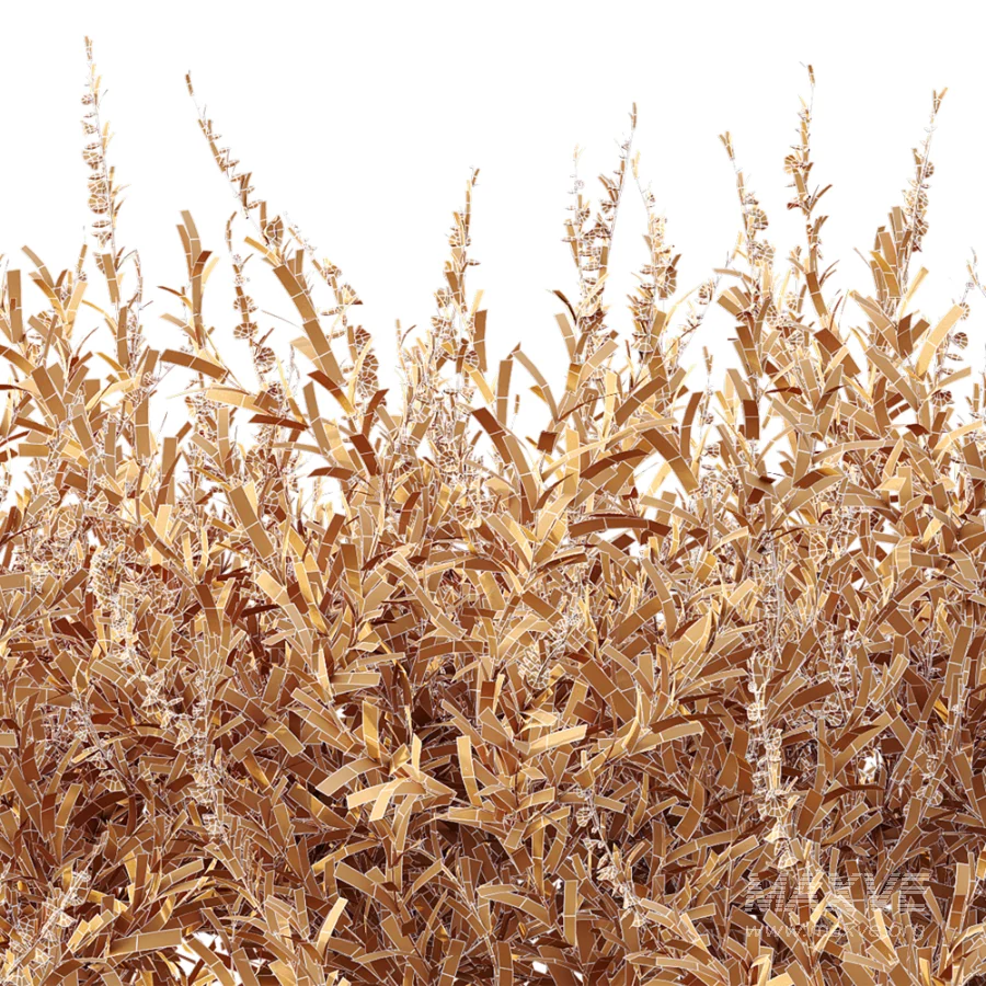 AV Plant Bush Purple Heather Calluna Vulgaris - Image 14