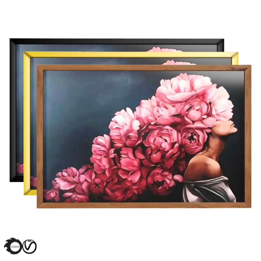 D145 27 Art Frames Flower Head And Feather Head - Image 2
