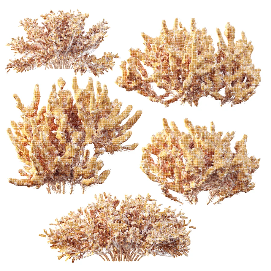 AV Winter plant Snow Wild Erica Multiflora and Snow Juniperus Sabina - Image 11