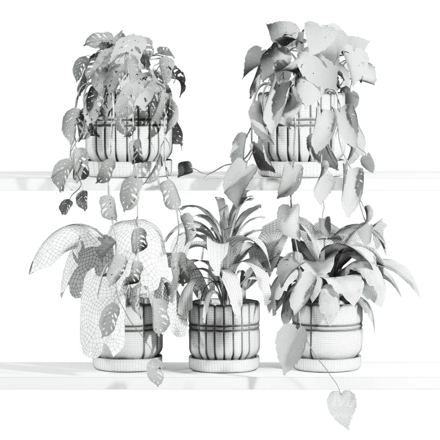 ivy potted plants on shelf - Image 4