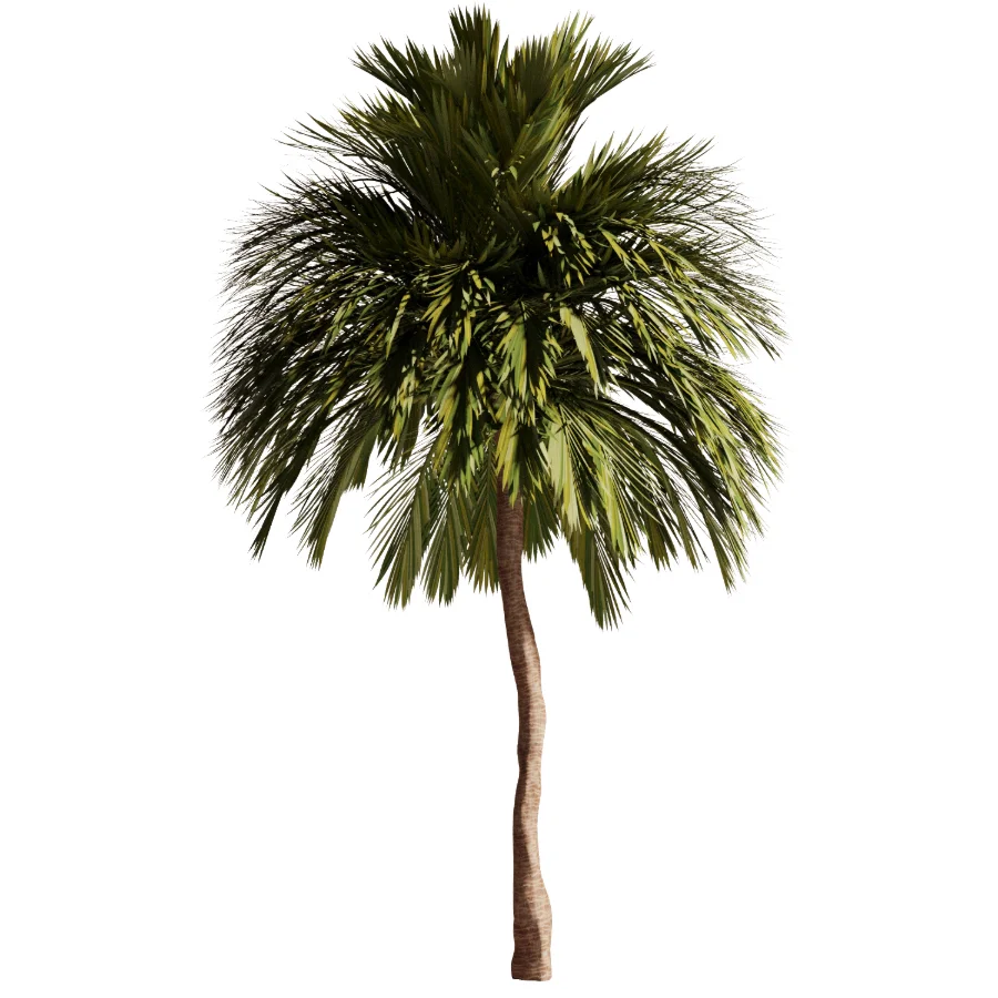 Tree Set48 - Image 2