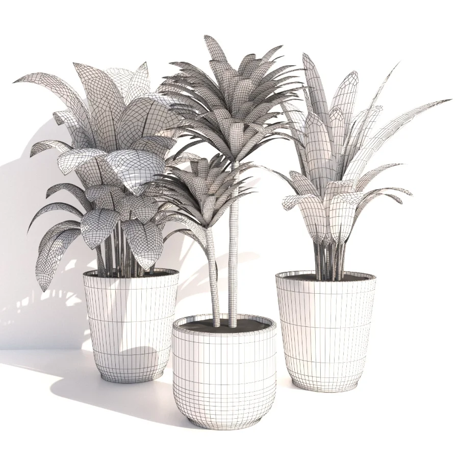 indoor plant_002 - Image 4