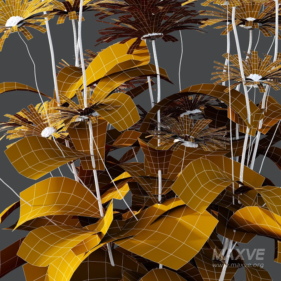 Common Daisy Flower Plant 01 - Image 4