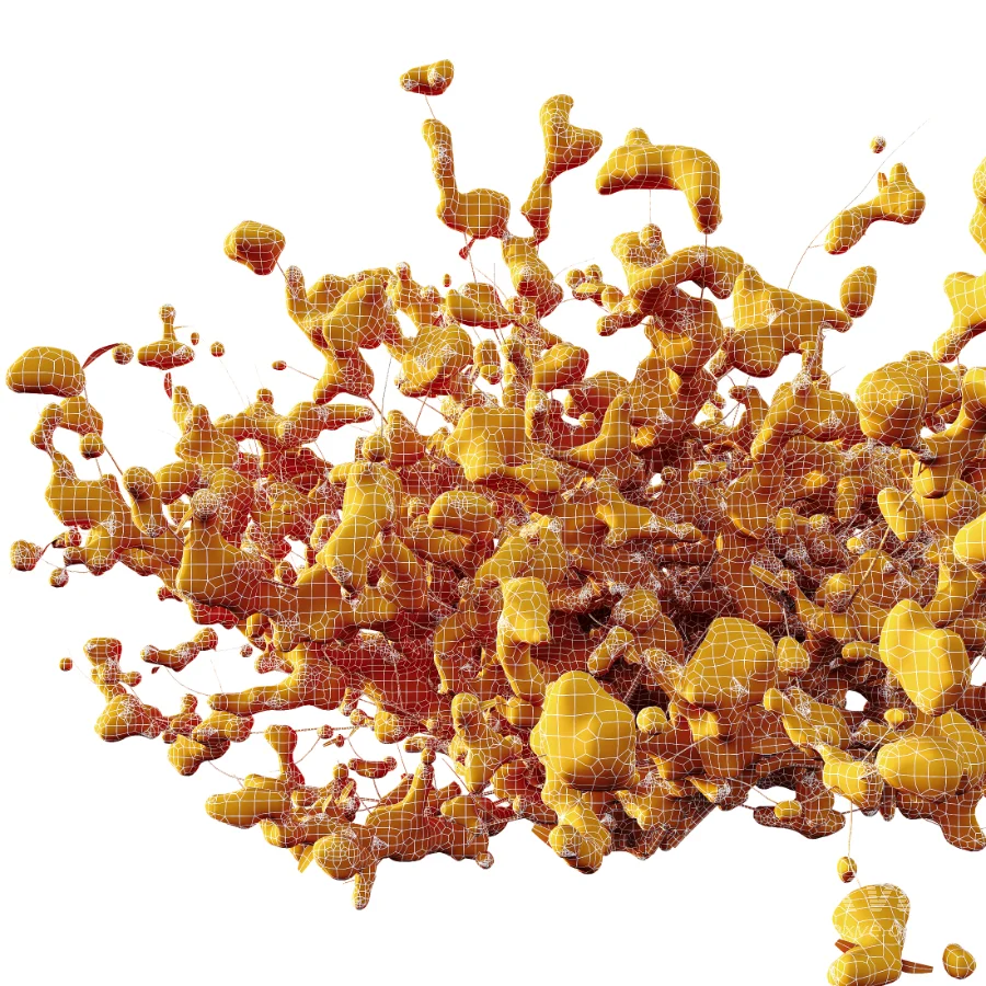 AV Winter plant Snow Quihoui Privet and Snow Abelia Grandiflora - Image 10