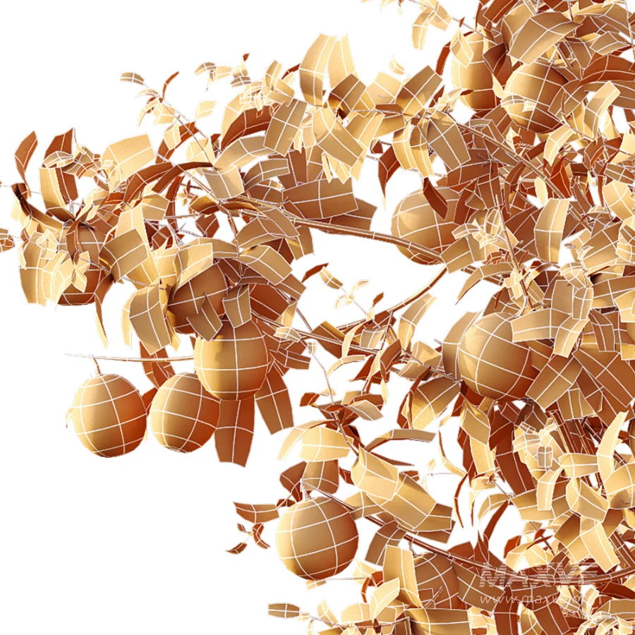 AV Plants Citrus Sinensis Orange Arancio Version02 - Image 8