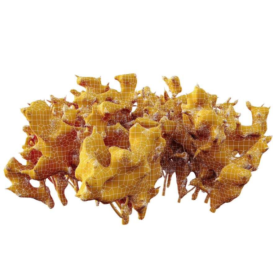 AV Plant Snow Pennsylvania Bayberry and Mexican Sage winter - Image 8