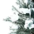 Blue Spruce Winter Tree 03 - Thumbnail 3