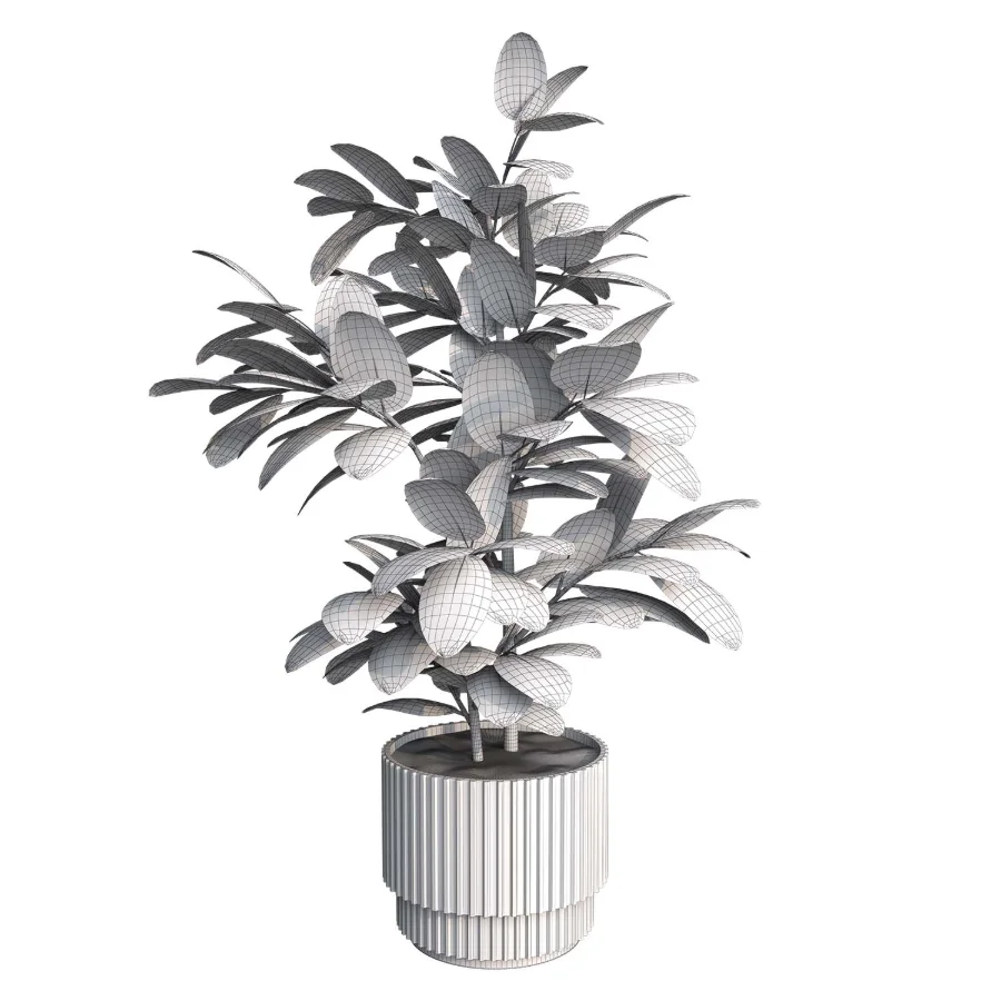 indoor plant_003 - Image 4