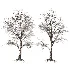 AV Dry winter trees - Thumbnail 1