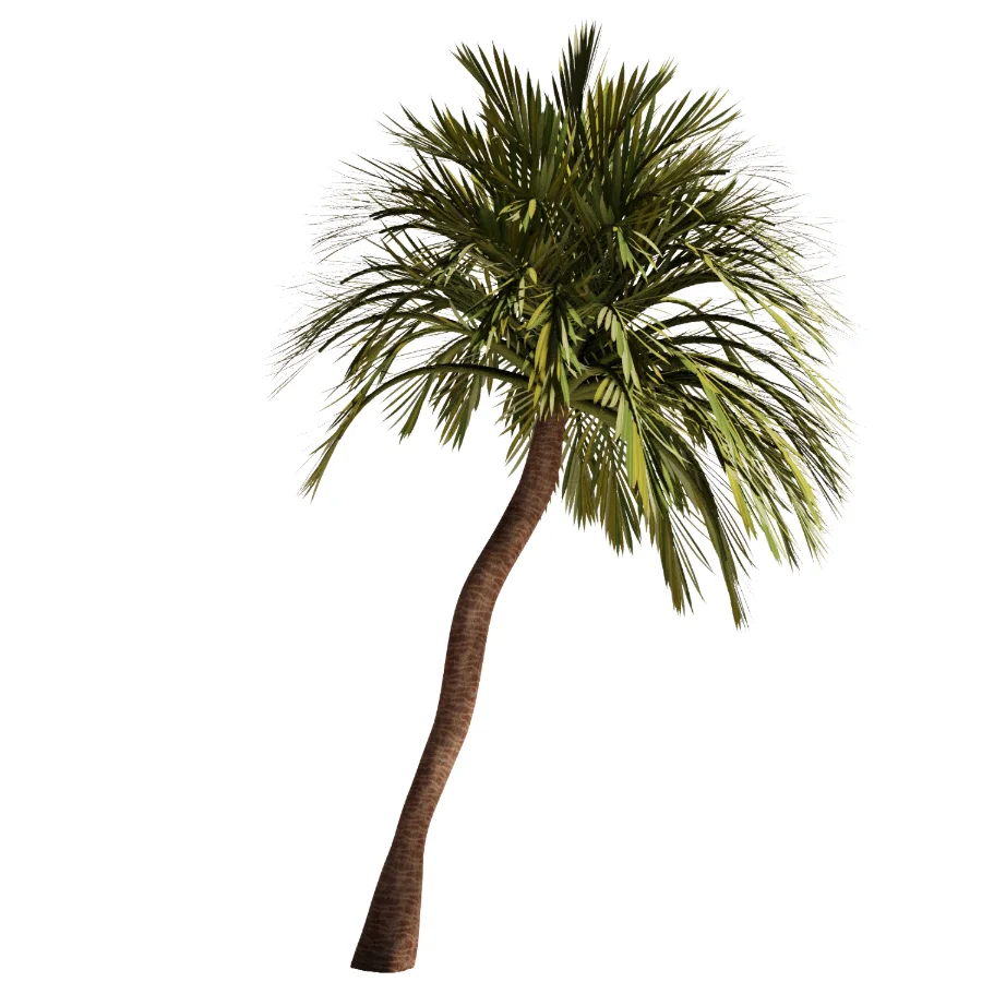 Tree Set48 - Image 6