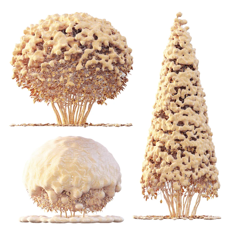 Av Winter Plant darf Yaupon Holly Winter - Image 9