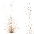 AV Plant Purple Moor Grass Molinia Caerulea Fall - Thumbnail 5