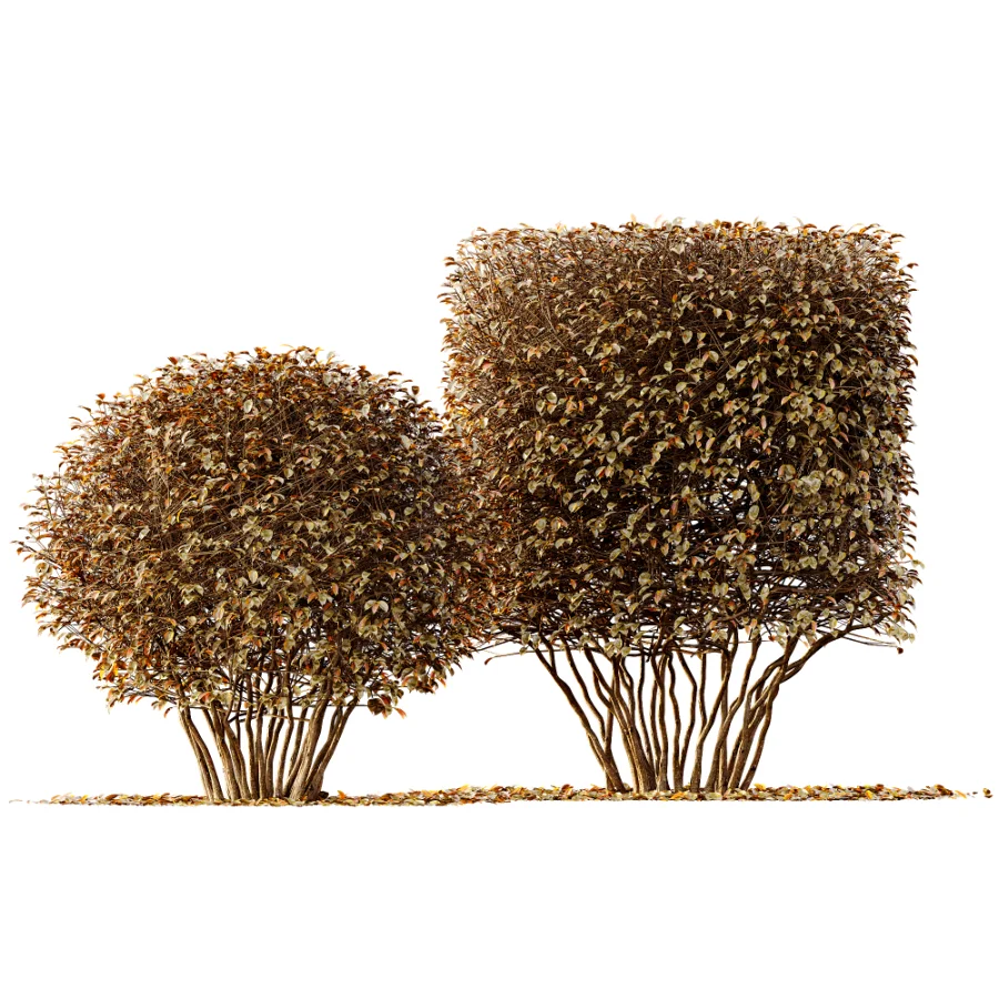 ntal greenery. - Image 2