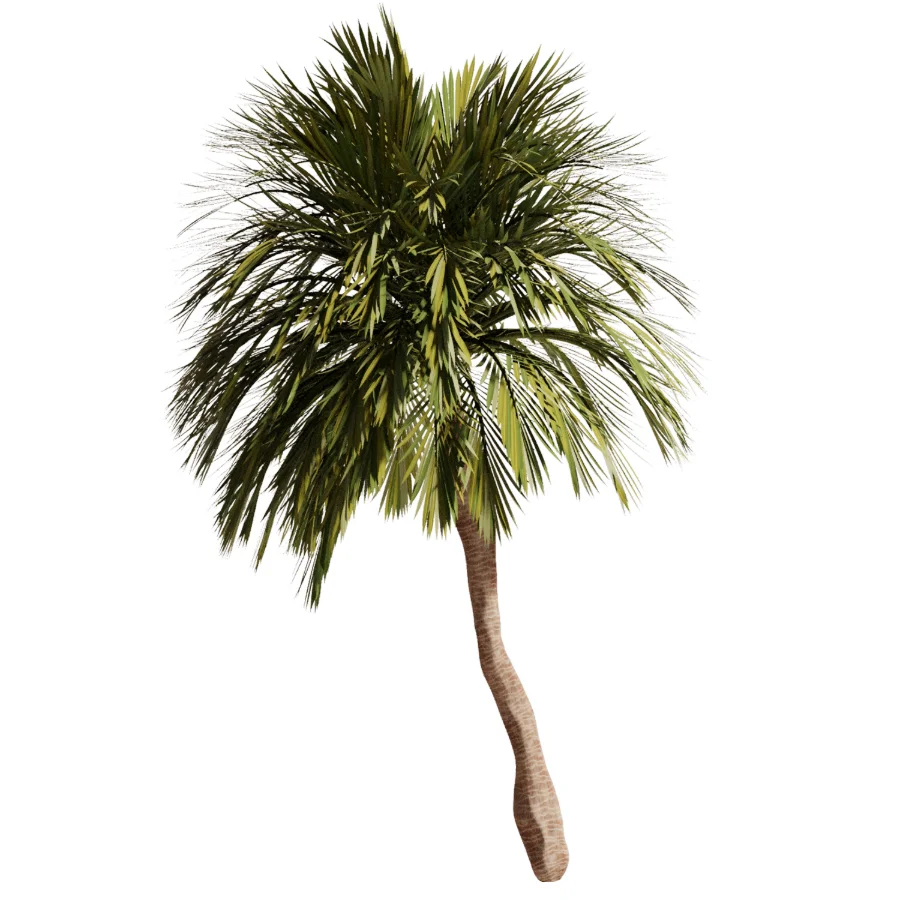 Tree Set47 - Image 3