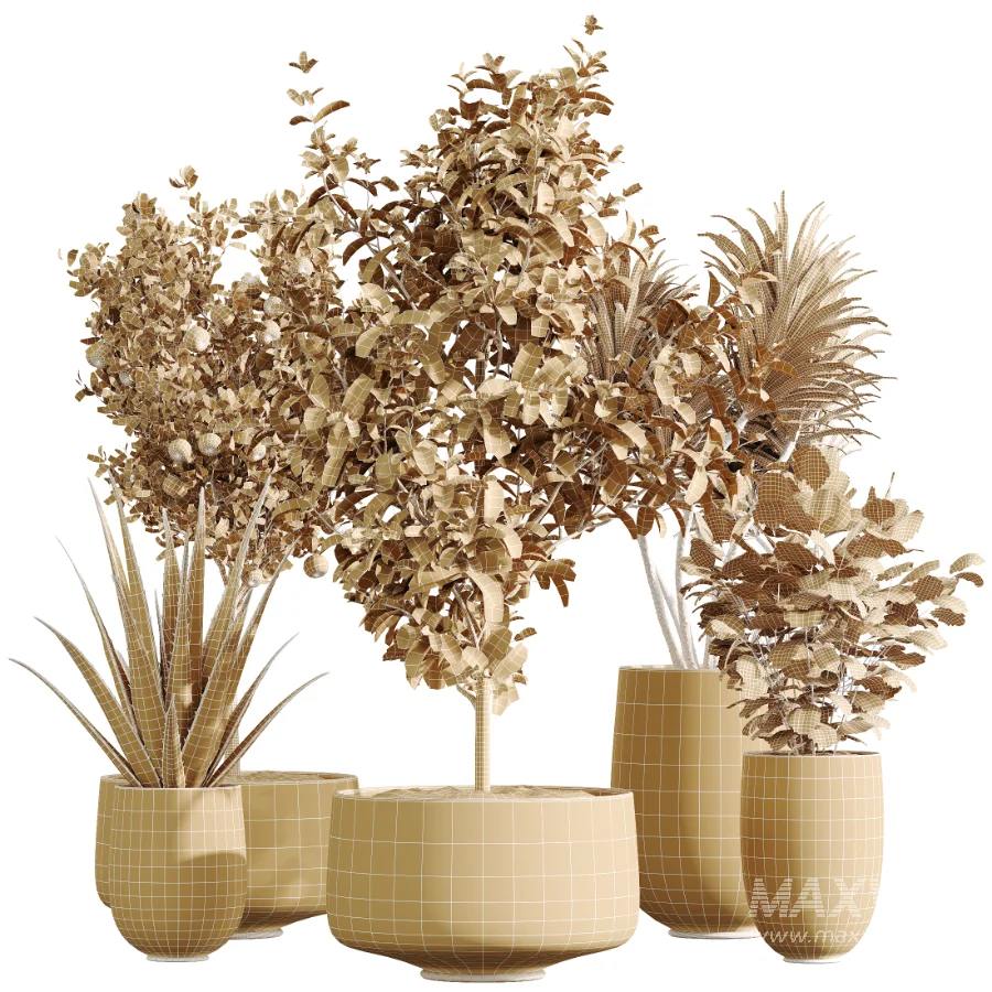 AV Indoor Plants Set 440 Eucalyptus Bouquet and Yucca and Olive and Orange Tree and Aloe Vera - Image 8