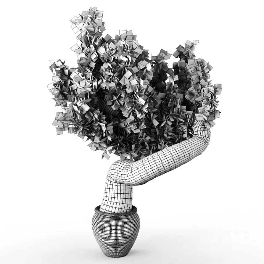 Olive tree - Image 1