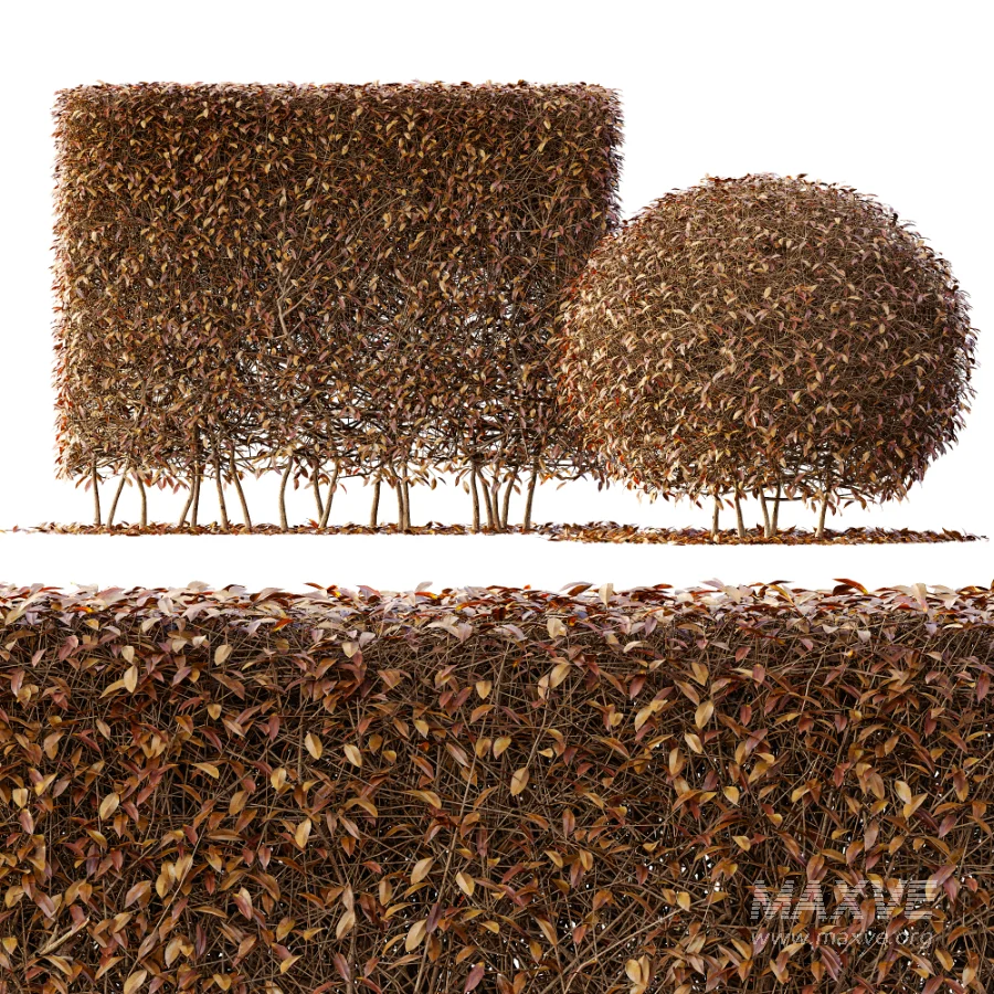 ntal greenery. - Image 3