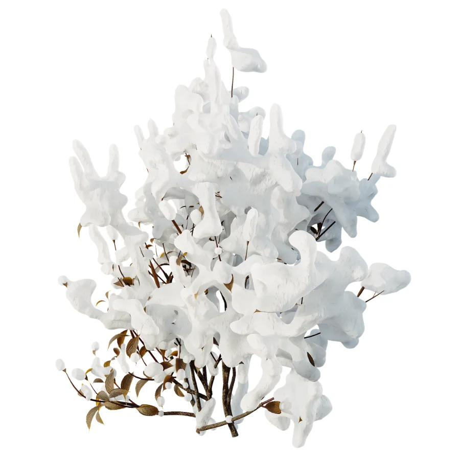 AV Winter Plant Snow Cornus sanguinea and Snow Kapebonavista Pachystachys - Image 3