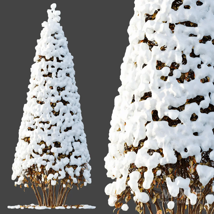 Av Winter Plant darf Yaupon Holly Winter - Image 7