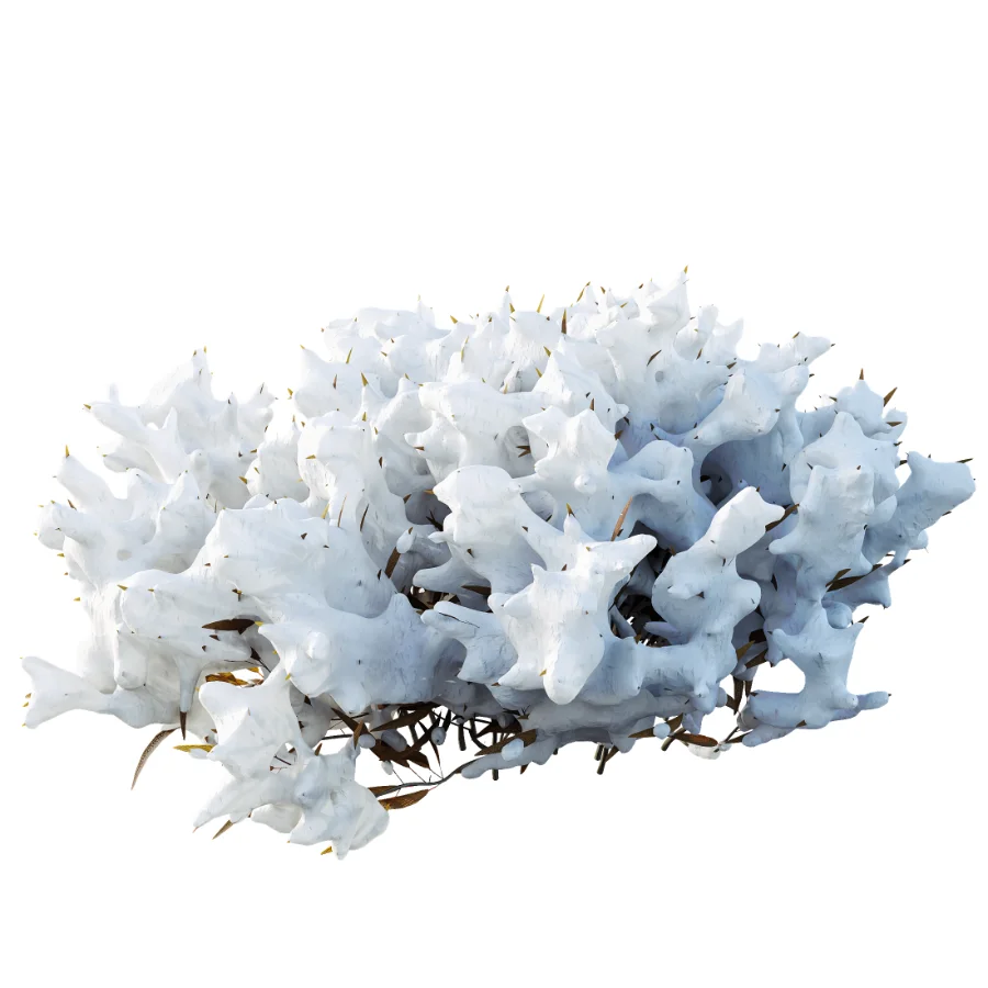 AV Plant Snow Pennsylvania Bayberry and Mexican Sage winter - Image 2