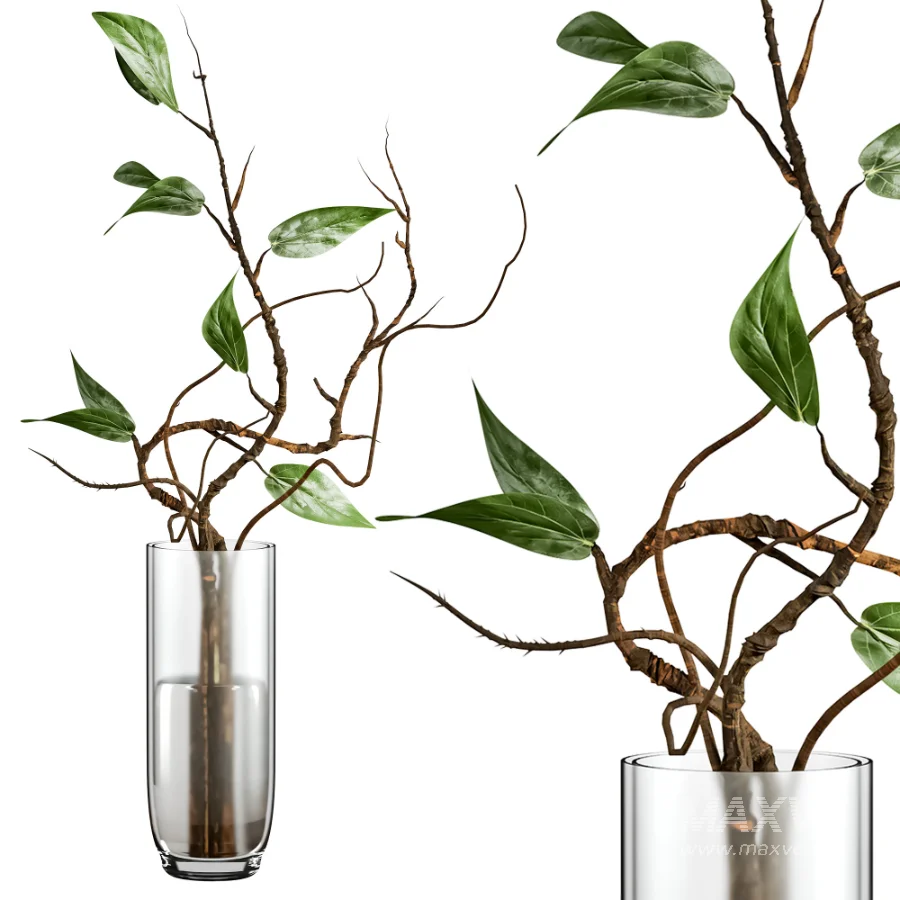 Branch in vase - Image 1