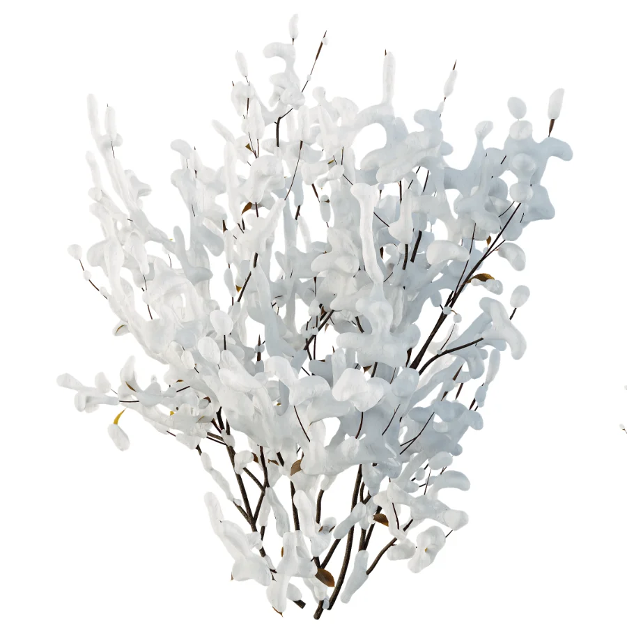 AV Winter Plant Snow Cornus sanguinea and Snow Kapebonavista Pachystachys - Image 2