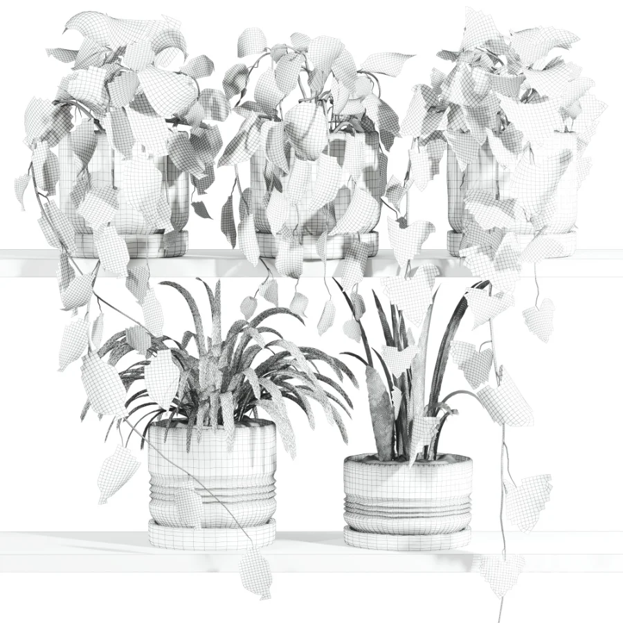 ivy potted plants on shelf - Image 4