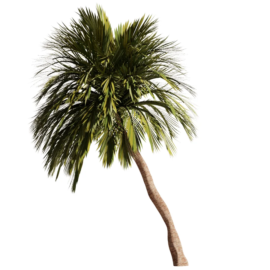 Tree Set48 - Image 1