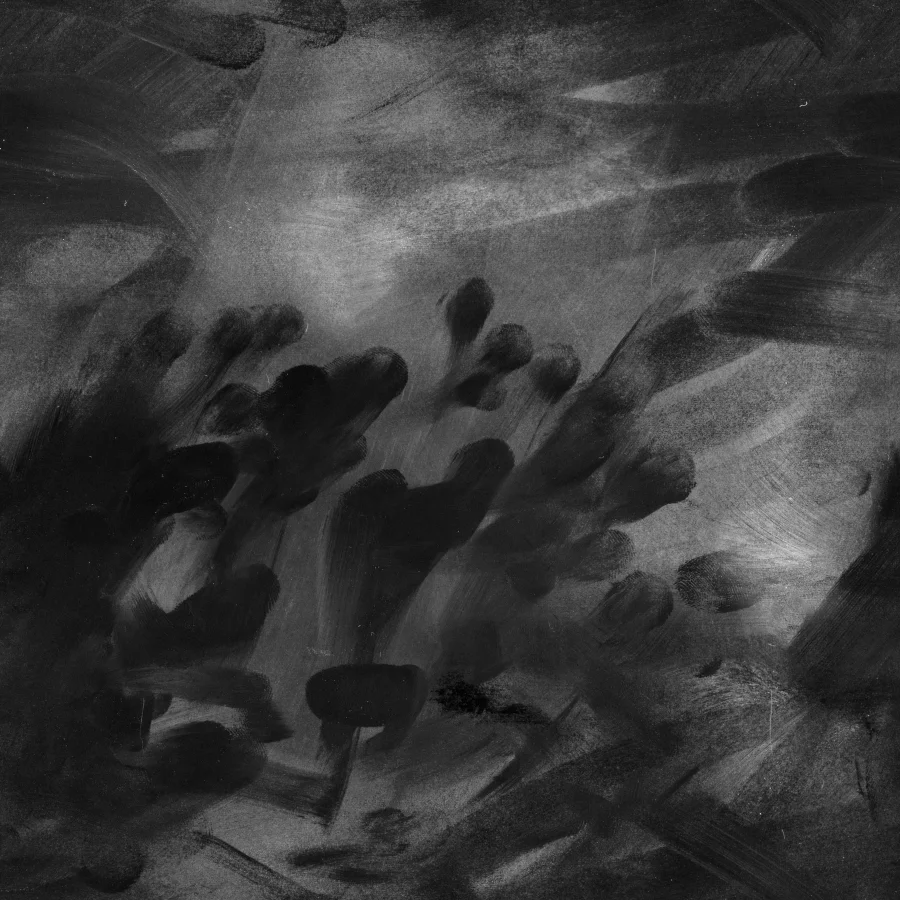 banketka mendini - Image 7